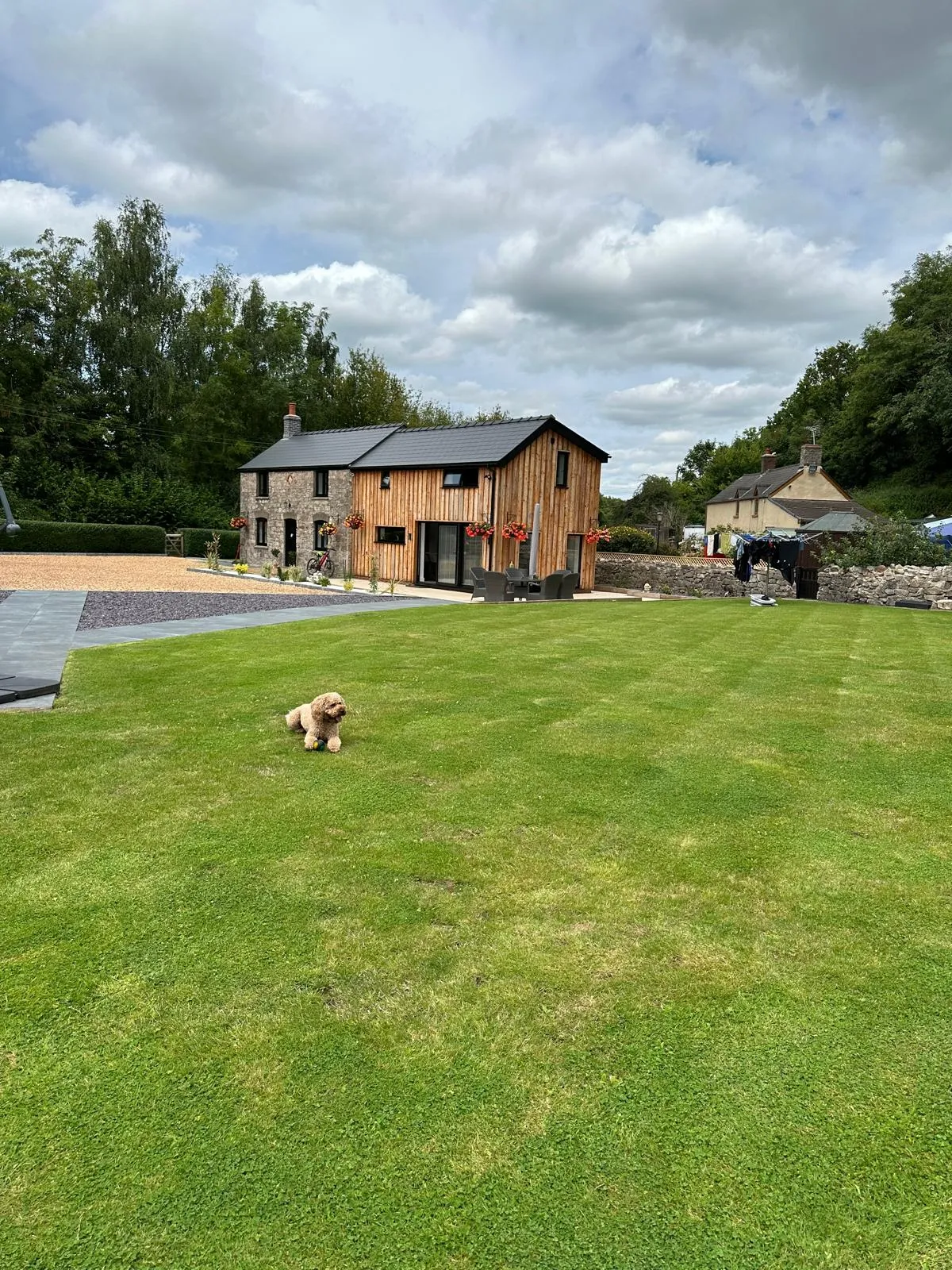 house cabin and puppy